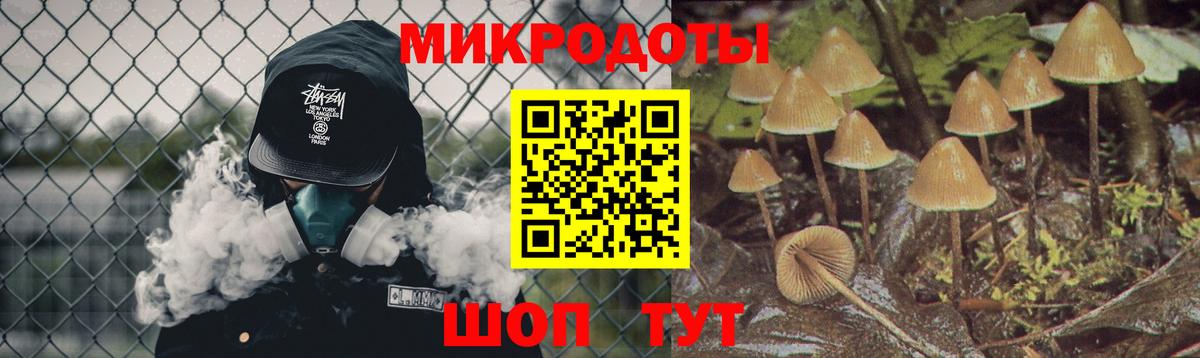 Сегежа  Галлюциногенные грибы Cubensis  Вход с VPN 
